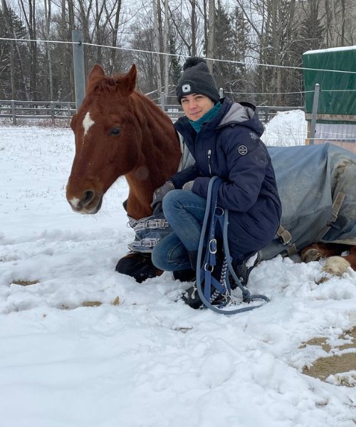 Pferd schläft im Schnee